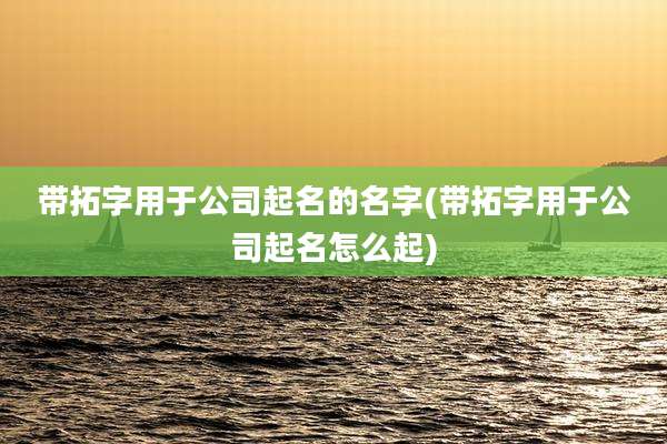带拓字用于公司起名的名字(带拓字用于公司起名怎么起)