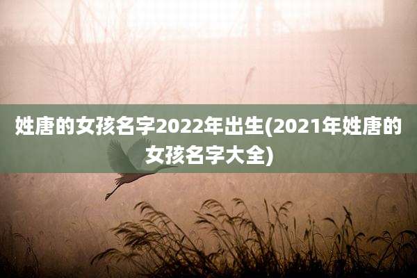 姓唐的女孩名字2022年出生(2021年姓唐的女孩名字大全)