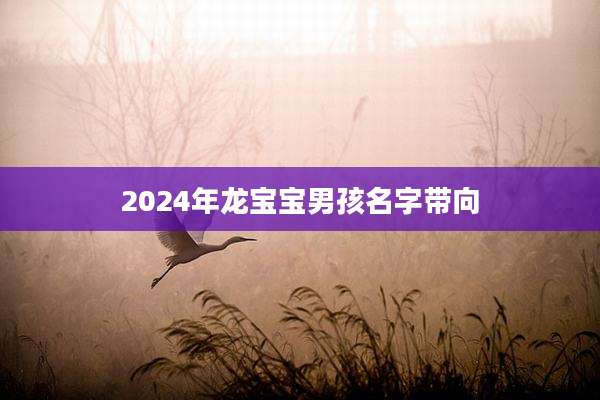 2024年龙宝宝男孩名字带向