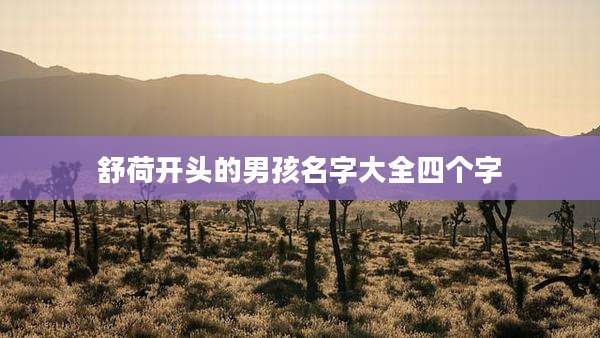 舒荷开头的男孩名字大全四个字