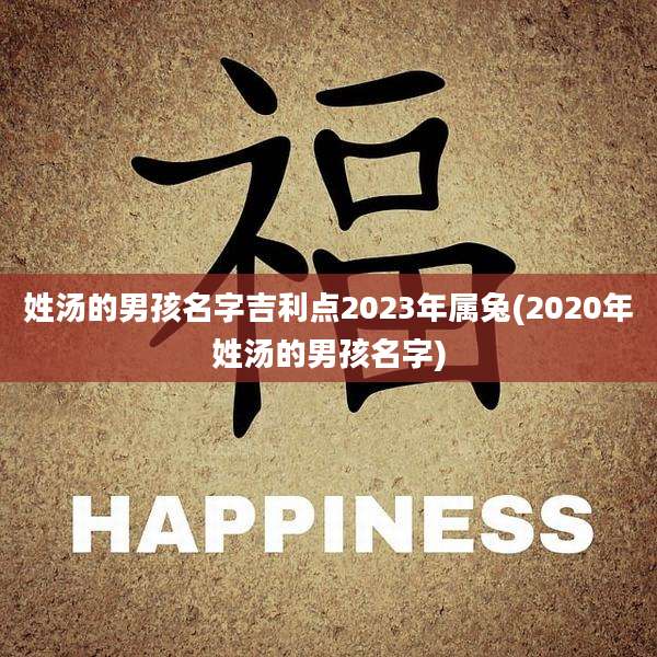 姓汤的男孩名字吉利点2023年属兔(2020年姓汤的男孩名字)