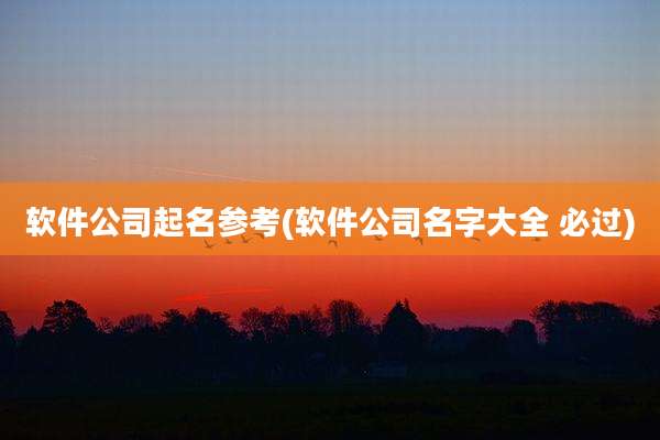 软件公司起名参考(软件公司名字大全 必过)