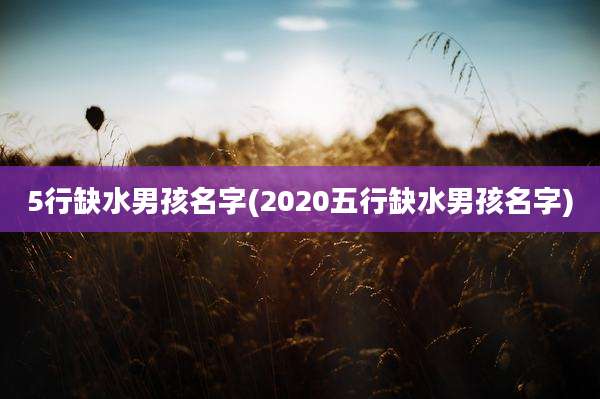 5行缺水男孩名字(2020五行缺水男孩名字)