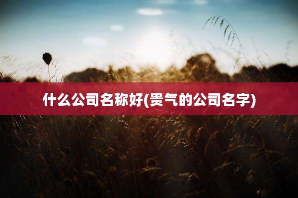 什么公司名称好(贵气的公司名字)