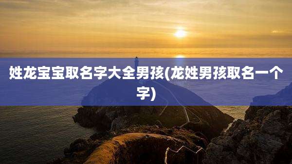 姓龙宝宝取名字大全男孩(龙姓男孩取名一个字)