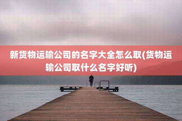 新货物运输公司的名字大全怎么取(货物运输公司取什么名字好听)