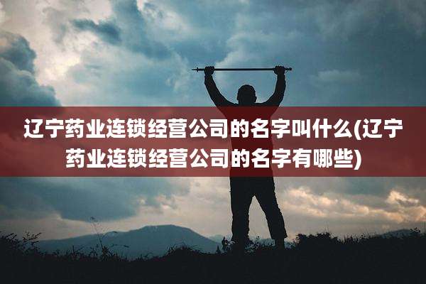 辽宁药业连锁经营公司的名字叫什么(辽宁药业连锁经营公司的名字有哪些)