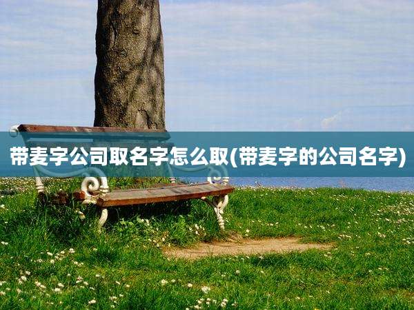 带麦字公司取名字怎么取(带麦字的公司名字)