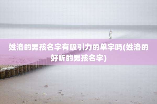 姓洛的男孩名字有吸引力的单字吗(姓洛的好听的男孩名字)