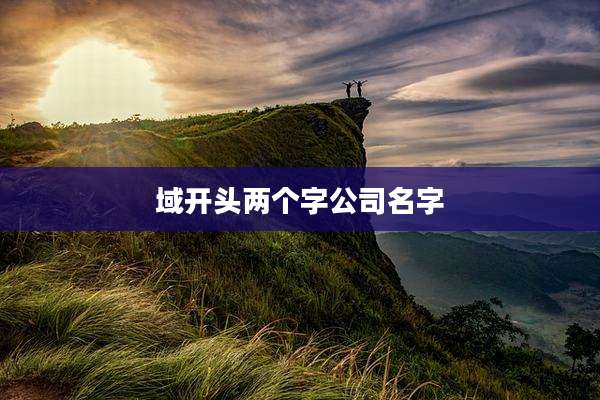域开头两个字公司名字