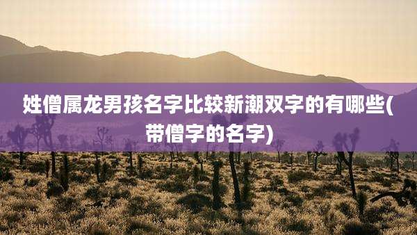 姓僧属龙男孩名字比较新潮双字的有哪些(带僧字的名字)