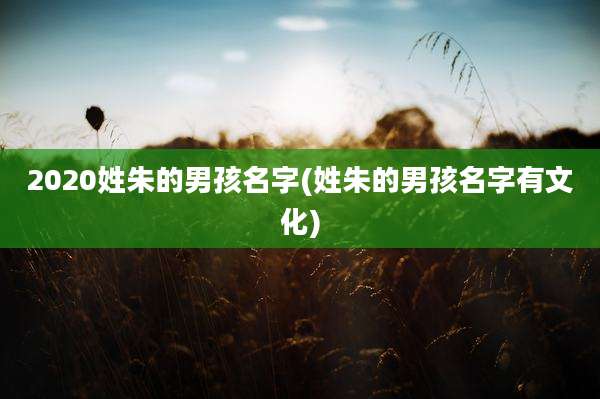 2020姓朱的男孩名字(姓朱的男孩名字有文化)