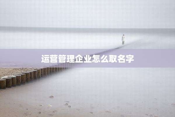运营管理企业怎么取名字