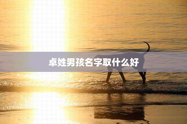 卓姓男孩名字取什么好
