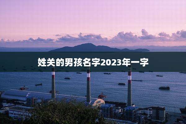 姓关的男孩名字2023年一字