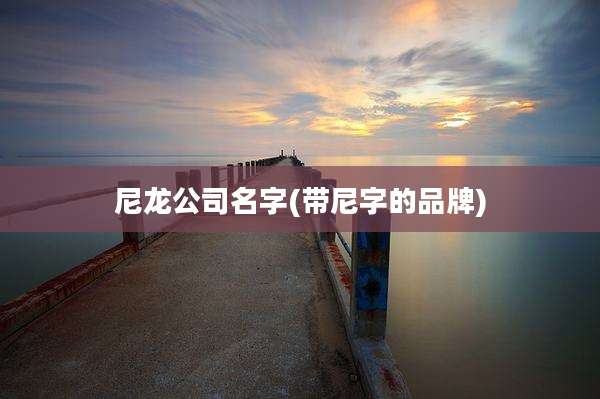 尼龙公司名字(带尼字的品牌)