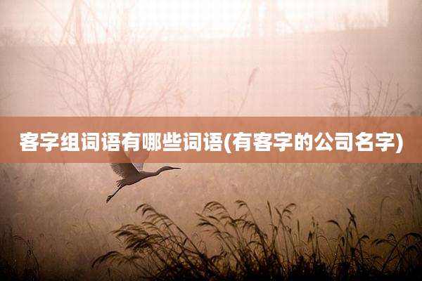 客字组词语有哪些词语(有客字的公司名字)