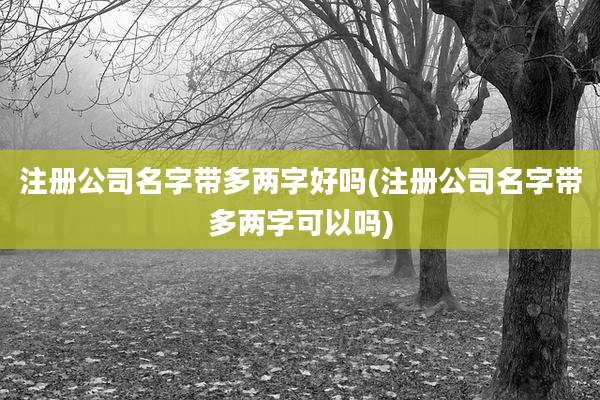 注册公司名字带多两字好吗(注册公司名字带多两字可以吗)