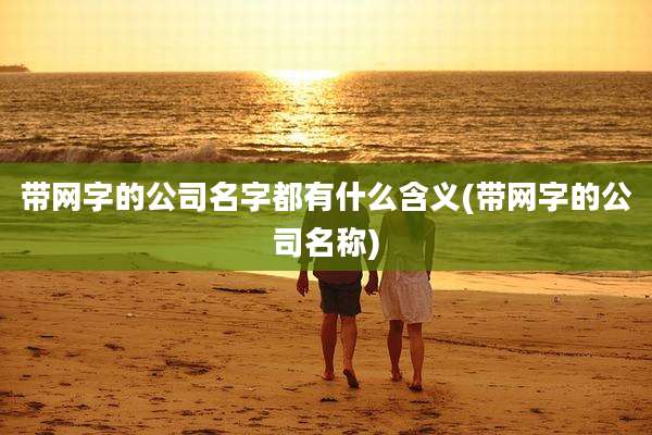 带网字的公司名字都有什么含义(带网字的公司名称)