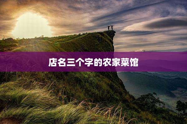 店名三个字的农家菜馆