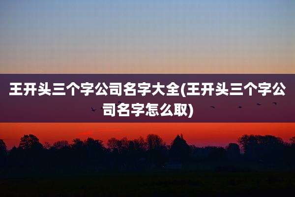 王开头三个字公司名字大全(王开头三个字公司名字怎么取)