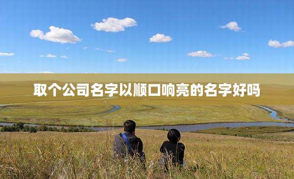 取个公司名字以顺口响亮的名字好吗