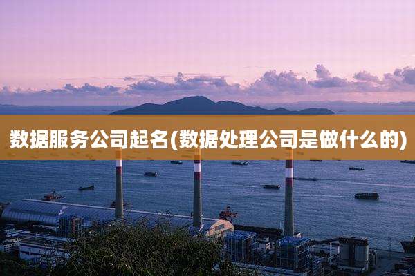 数据服务公司起名(数据处理公司是做什么的)