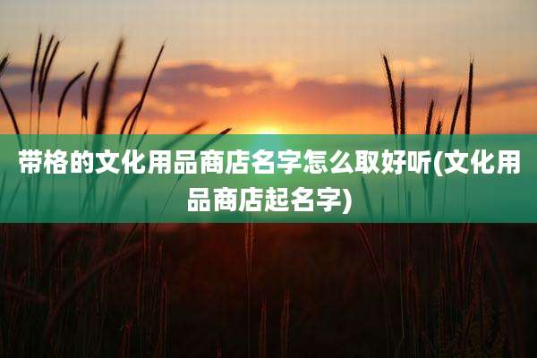 带格的文化用品商店名字怎么取好听(文化用品商店起名字)