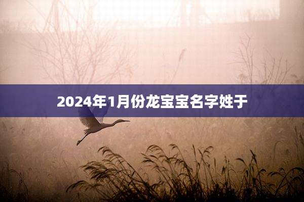 2024年1月份龙宝宝名字姓于