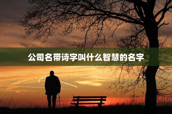 公司名带诗字叫什么智慧的名字