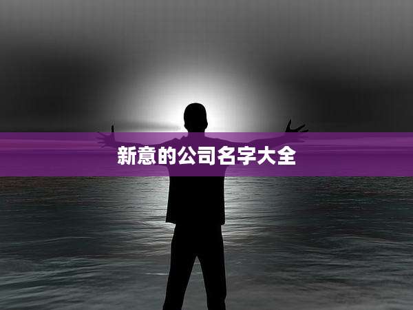 新意的公司名字大全