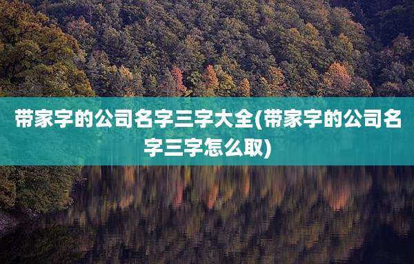 带家字的公司名字三字大全(带家字的公司名字三字怎么取)