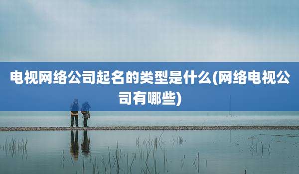 电视网络公司起名的类型是什么(网络电视公司有哪些)