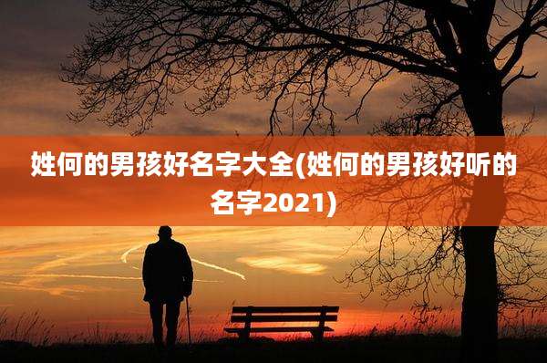 姓何的男孩好名字大全(姓何的男孩好听的名字2021)