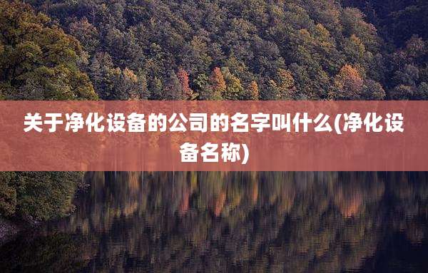 关于净化设备的公司的名字叫什么(净化设备名称)