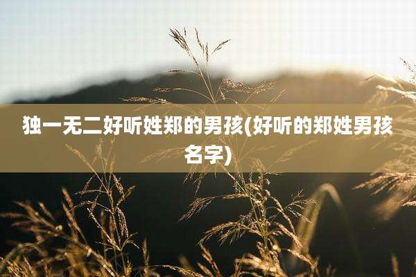 独一无二好听姓郑的男孩(好听的郑姓男孩名字)
