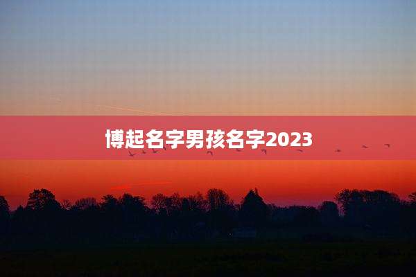 博起名字男孩名字2023