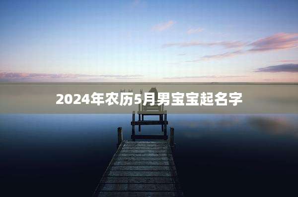 2024年农历5月男宝宝起名字