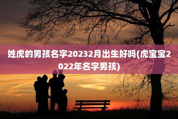 姓虎的男孩名字20232月出生好吗(虎宝宝2022年名字男孩)