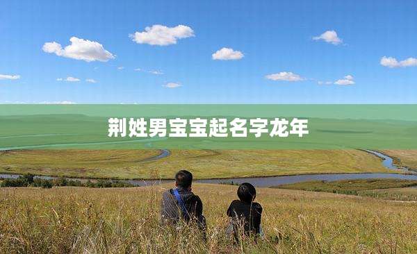 荆姓男宝宝起名字龙年