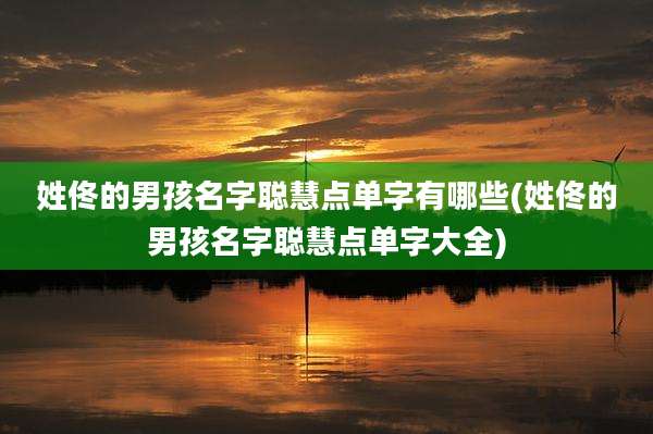 姓佟的男孩名字聪慧点单字有哪些(姓佟的男孩名字聪慧点单字大全)