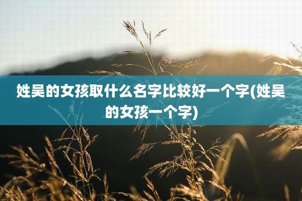 姓吴的女孩取什么名字比较好一个字(姓吴的女孩一个字)