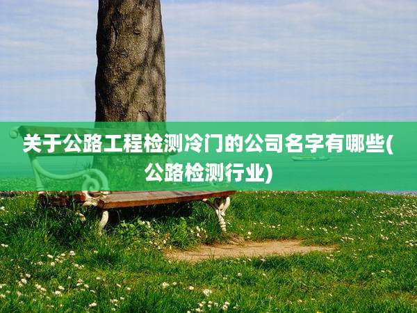 关于公路工程检测冷门的公司名字有哪些(公路检测行业)
