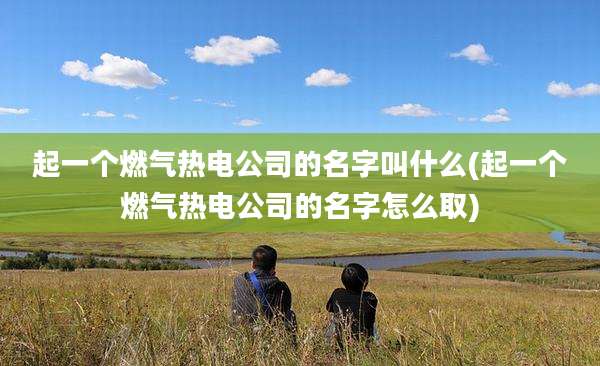 起一个燃气热电公司的名字叫什么(起一个燃气热电公司的名字怎么取)