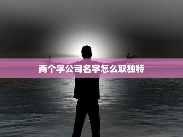 两个字公司名字怎么取独特