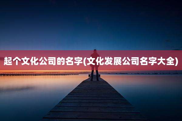 起个文化公司的名字(文化发展公司名字大全)
