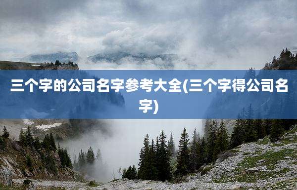 三个字的公司名字参考大全(三个字得公司名字)