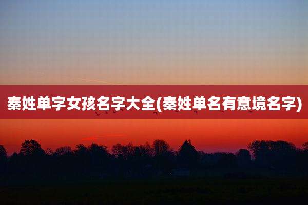 秦姓单字女孩名字大全(秦姓单名有意境名字)
