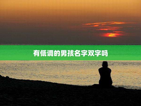 有低调的男孩名字双字吗