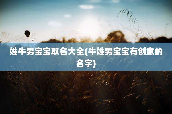 姓牛男宝宝取名大全(牛姓男宝宝有创意的名字)